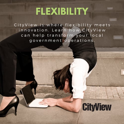 CityView flexibility