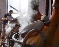 brew tour