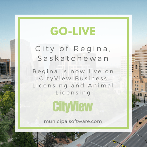 City of Regina goes live on CityView Animal and Business Licensing